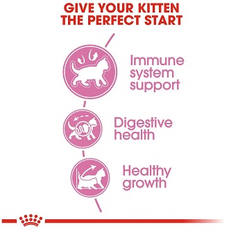 royal-canin-kitten-2-kg-อาหารลูกแมว-เม็ดเล็ก-ช่วยเสริมสร้างภูมิต้านทาน-สำหรับลูกแมวอายุต่ำกว่า-1-ปี-2-กิโลกรัม-ถุง