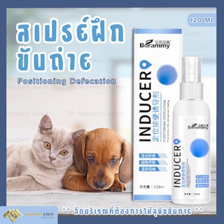 ภาพหน้าปกสินค้า💩พร้อมส่ง‼️ สเปรย์ฝึกขับถ่ายสุนัขและแมว น้ำยาฝึกสุนัขและแมว สเปรย์ฝึกวินัย ฝึกสัตว์เลี้ยงขับถ่ายในบริเวณที่ต้องการ ซึ่งคุณอาจชอบราคาและรีวิวของสินค้านี้