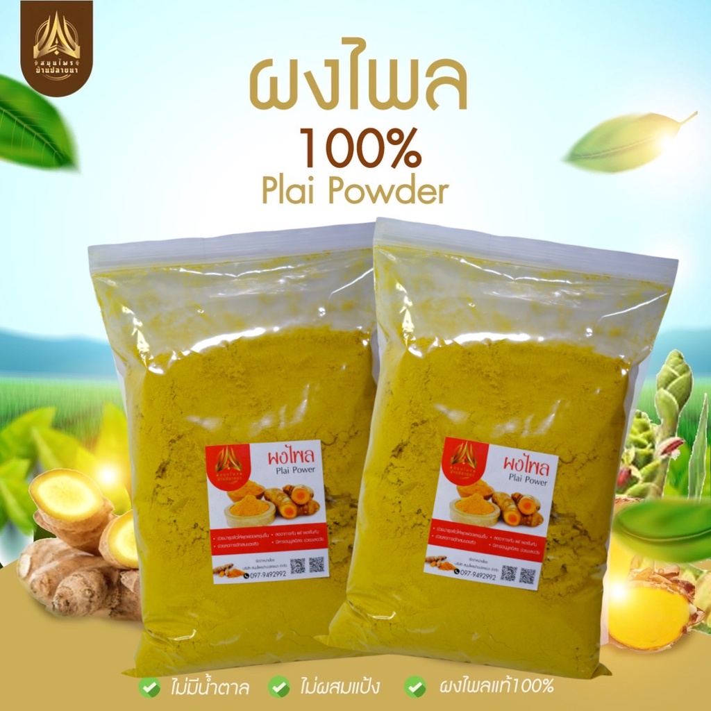 ผงไพล(Plai Powder) ขนาด500g.และ 1kg. | Shopee Thailand