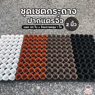 ภาพหน้าปกสินค้าชุดเซตกระถางปากแตรจิ๋ว 2 นิ้ว 50 ใบ พร้อมถาดหลุม 1 ใบ ที่เกี่ยวข้อง