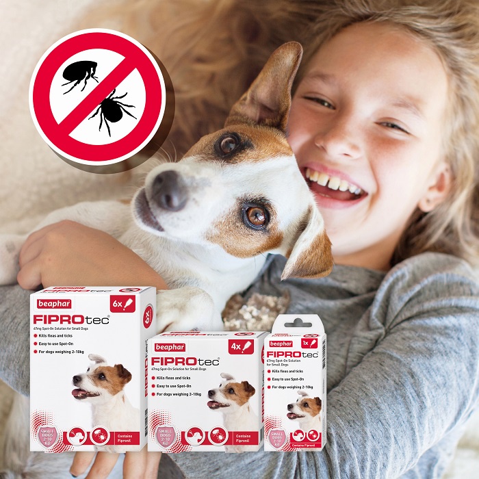 เกี่ยวกับ Beaphar Fiprotec Small Dog ยาหยดกำจัดเห็บหมัด สุนัขพันธุ์เล็ก 4 หลอด PROMOTION