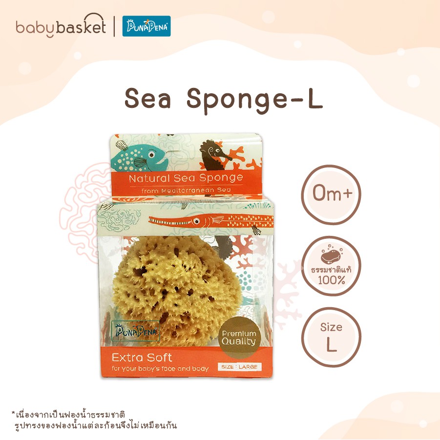 ฟองน้ำธรรมชาติ-100-ถนอมผิวเด็ก-punapena-sea-sponge-honeycomb-ขนาด-l-อ่อนโยน-บริสุทธิ์สำหรับทารก