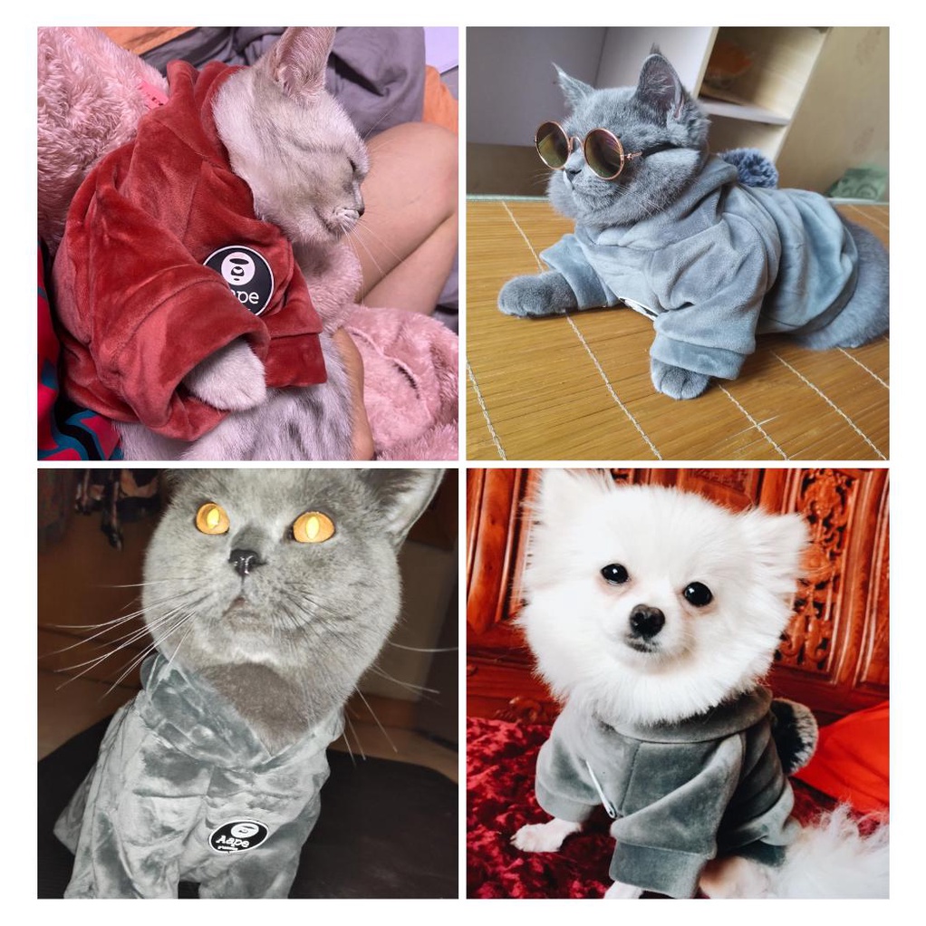 ภาพหน้าปกสินค้า〓PetBest〓 Dog Cat Clothes Autumn and Winter Pet Clothes Puppy Warm Clothes Pet Clothes Sweater with Hat Dog Clothes จากร้าน dearmypet.th บน Shopee