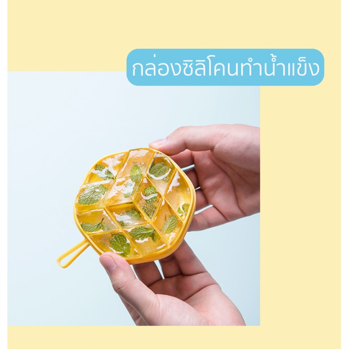 ถาดทำน้ำแข็ง-กล่องใส่น้ำแข็ง-ถาดน้ำแข็ง-แม่พิมพ์น้ำแข็ง