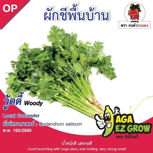 aga-shop-เมล็ดพันธุ์ผักชีวู้ดดี้