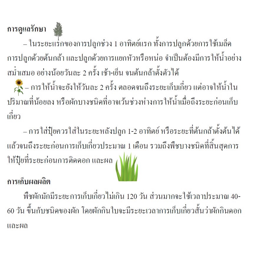 5-ฟรี-1-คละได้-เมล็ดพันธุ์-ถั่วลันเตาหวาน-สวีทตี้-ตราเจียไต๋-เมล็ดพันธุ์-คัดพิเศษ-f1-เมล็ดผัก-เมล็ดพันธุ์พืช-เมล็ดพืช