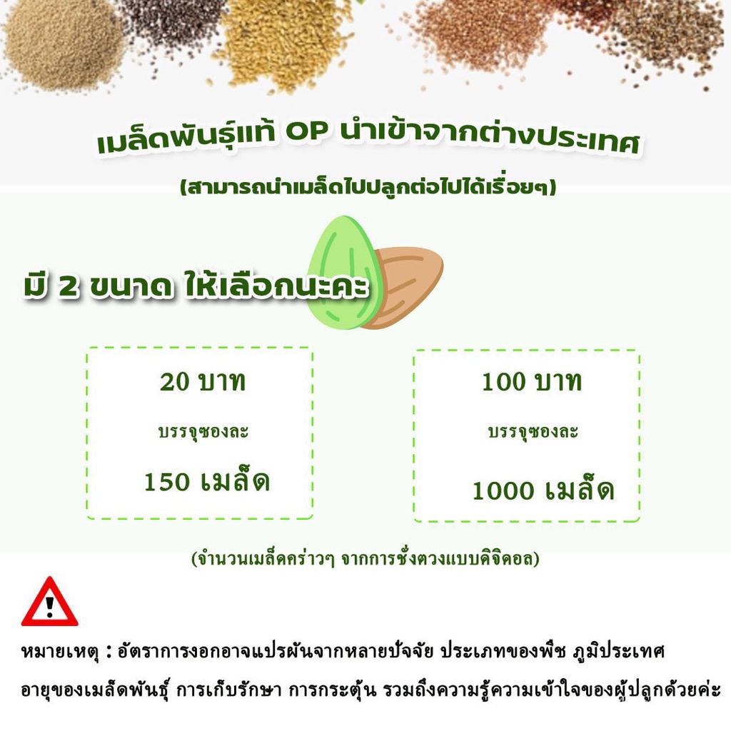 เมล็ดพันธุ์-พร้อมส่ง-รหัส-002-ตำแยแมว-แคทนิป-catnip-เมล็ดพันธุ์แท้-op-แมวร่าเริง-ช่วยคลายเครียด-ไม่มีอันตราย-ตำแยแมวผ