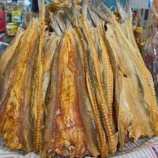 ปลาช่อนทะเล (ใหญ่ / ผ่าเล็ก) สดใหม่ ทอดได้ ย่างได้ อร่อย (คุ้มและอร่อย) 500กรัม ไม่เค็ม