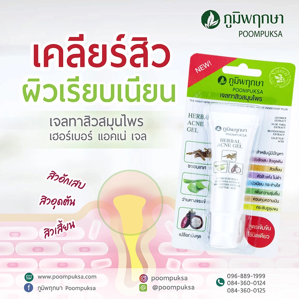 เจลแต้มสิว-เจลทาสิวสมุนไพร-ภูมิพฤกษา-เฮอร์เบอร์-แอคเน่-เจล-poompuksa-herbal-acne-gel-10-g