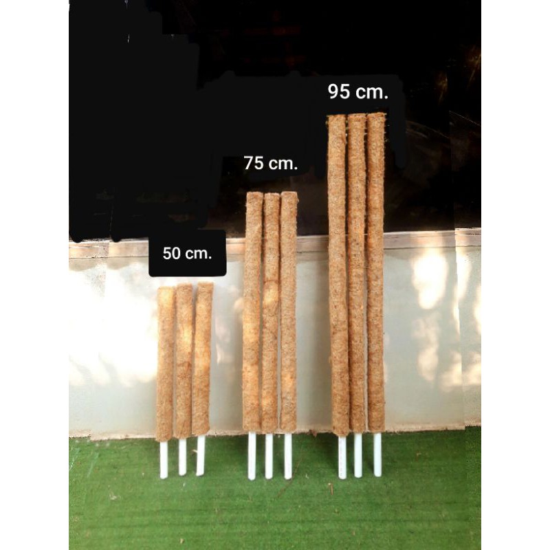 เสาหลัก-95-cm-สำหรับไม้เกาะเลื้อย