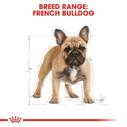 cheaper-royal-canin-french-bulldog-adult-3kg-โรยัลคานิน-อาหารสุนัขโต-เฟรนช์-บูลด็อก-ขนาด-3-กิโลกรัม