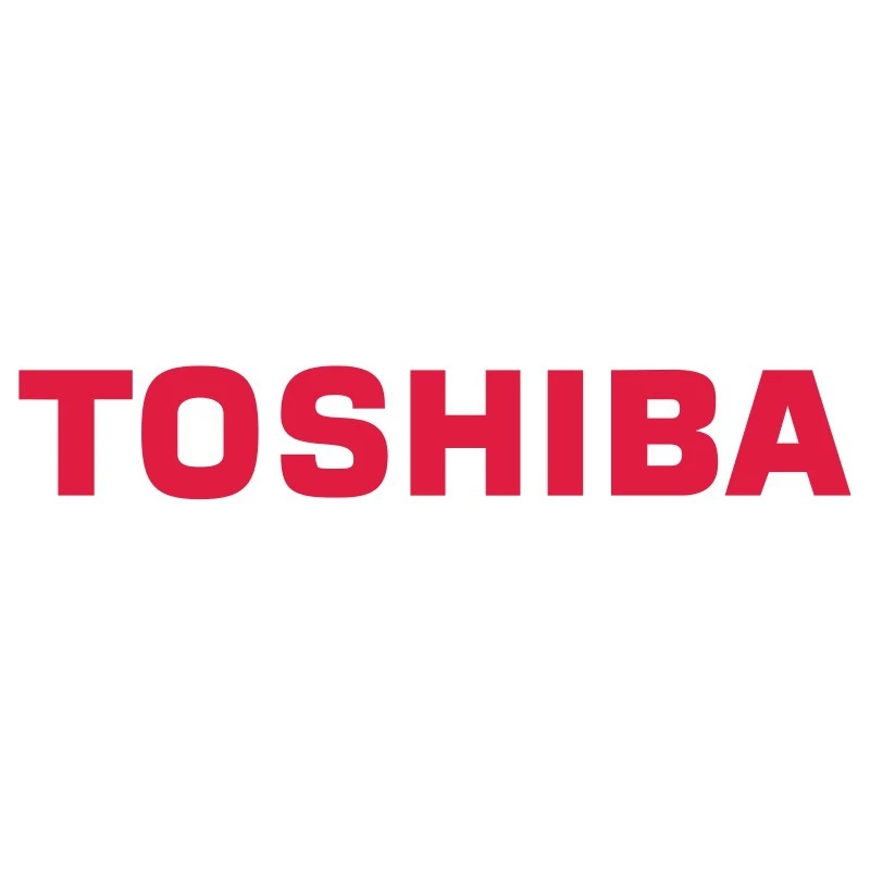 Toshiba Storage 