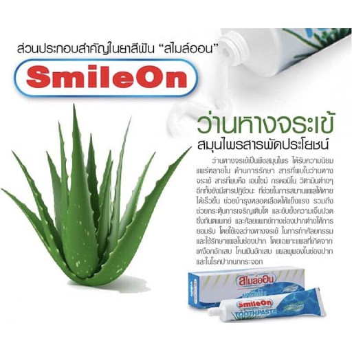 smileon-toothpaste-250-g-ยาสีฟันซูเหลียน-ยาสีฟันสมุนไพรสไมล์ออน