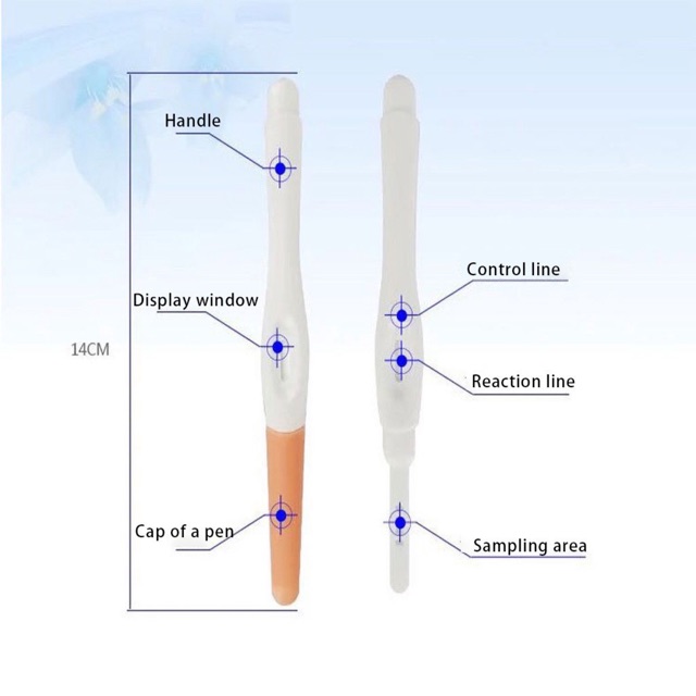 ที่ตรวจครรภ์-hcg-test-พร้อมส่ง-ไม่จ่าหน้ากล่อง-รู้ผลภายใน5นาที-ถูกที่สุด