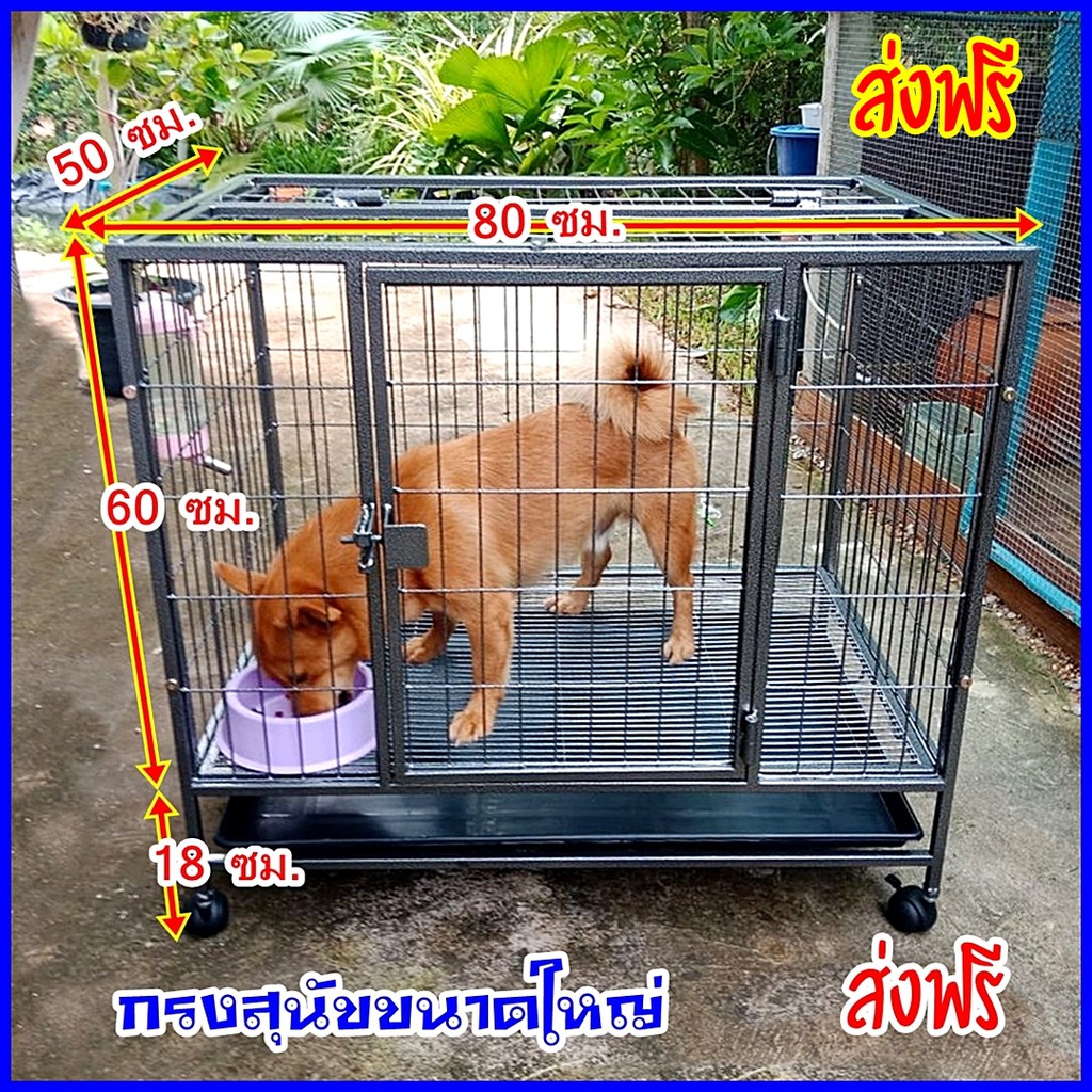 กรงสุนัขขนาดใหญ่ คอกสุนัข คอกหมา กรงหมา โครงสร้างเหล็กแข็งแรง ส่งฟรี |  Shopee Thailand