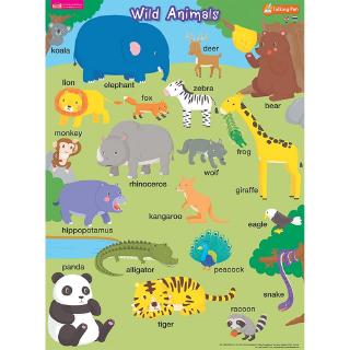 ภาพหน้าปกสินค้าMISBOOK โปสเตอร์พลาสติก Wild Animals (ใช้กับ Talking Pen) ที่เกี่ยวข้อง