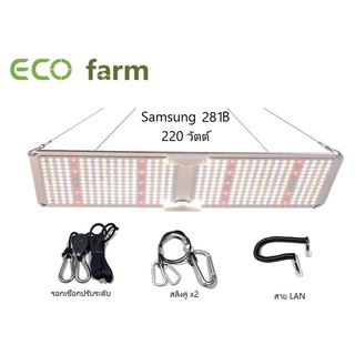 ภาพหน้าปกสินค้าไฟปลูกต้นไม้ 65-400 วัตต์  รุ่นใหม่ 2021 ชิปหลอดซัมซุง Samsung Led Grow Light หลอดไฟปลูกพืช indoor garden ไฟต้นไม้. ที่เกี่ยวข้อง