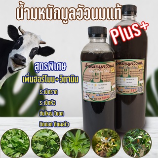 (ขายส่ง) ปุ๋ยอินทรีย์ น้ำหมักชีวภาพ มูลวัวนม สูตรเข้มข้น #แตกรากเร็ว #ใบดก-ใหญ่ #ต้นใหญ่ #กระท่อม #ไม้ด่าง #บอนสี #ผัก