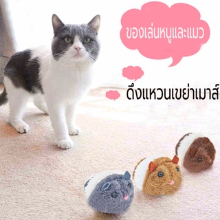 ของเล่นแมว ช็อก หนูไขลาน ของเล่นสัตว์เลี้ยง ของเล่นไขลาน ของเล่นสำหรับแมว แมวชอบเล่น หนูจำลอง