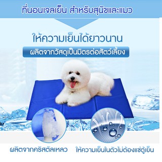 Pet cool mat แผ่นเจลรองนอนหมา  (Size M 40*50 cm)เย็นสบายอย่างเป็นธรรมชาติ ไม่เสี่ยงต่อสภาวะปอดชื้น โดยไม่ต้องแช่เย็น