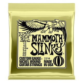 ภาพหน้าปกสินค้าERNIE BALL® สายกีตาร์ไฟฟ้า เบอร์ 12 (P02214) แบบผสม Mammoth Slinky (.012 - .062) ** Made in USA ** ซึ่งคุณอาจชอบสินค้านี้