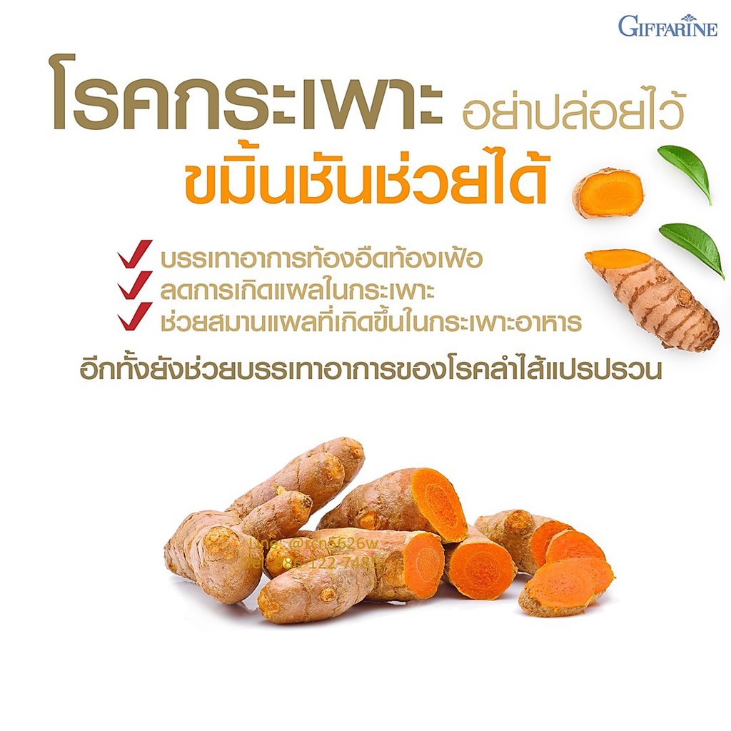 มีโปร-แกสตรา-เฮิร์บ-กิฟฟารีน-อาหารไม่ย่อย-gastra-herb-giffarine