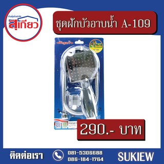 Vegarr ชุดฝักบัวอาบน้ำ 1 ระบบ(สีโครเมี่ยม) A-109