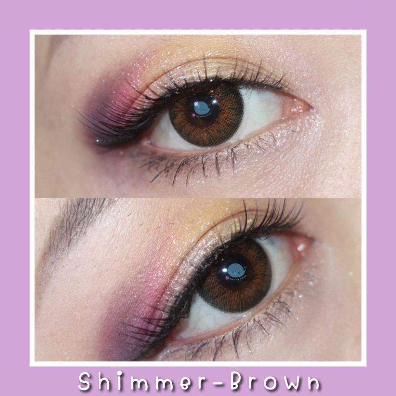 shimmer-brown-gray-สายตา-00-1000-รายเดือน