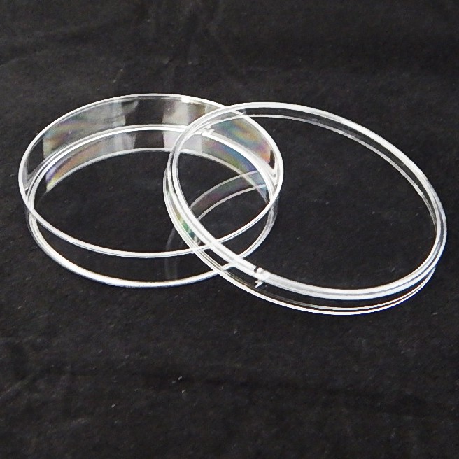 ภาพสินค้าจานเพาะเชื้อพลาสติก ขนาด 60 x 15 mm (10 ชิ้น/ชุด) (Petri Dish : PS 10 pcs) จากร้าน sci4kid บน Shopee ภาพที่ 2