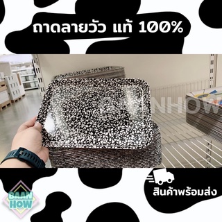 สต๊อกพร้อมส่ง✅  IKEA - ถาดลายวัวร์คุลยอดฮิต ขนาด 28x20 ซม. VÅRKUL วัวร์คุล ‼️ค่าส่งถูกมาก‼️