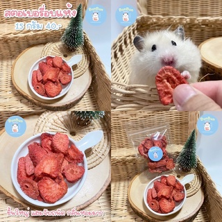 [BunBunxHamster] สตอเบอรี่อบแห้ง🍓ขนมหนูแฮมสเตอร์ หนูแฮมเตอร์