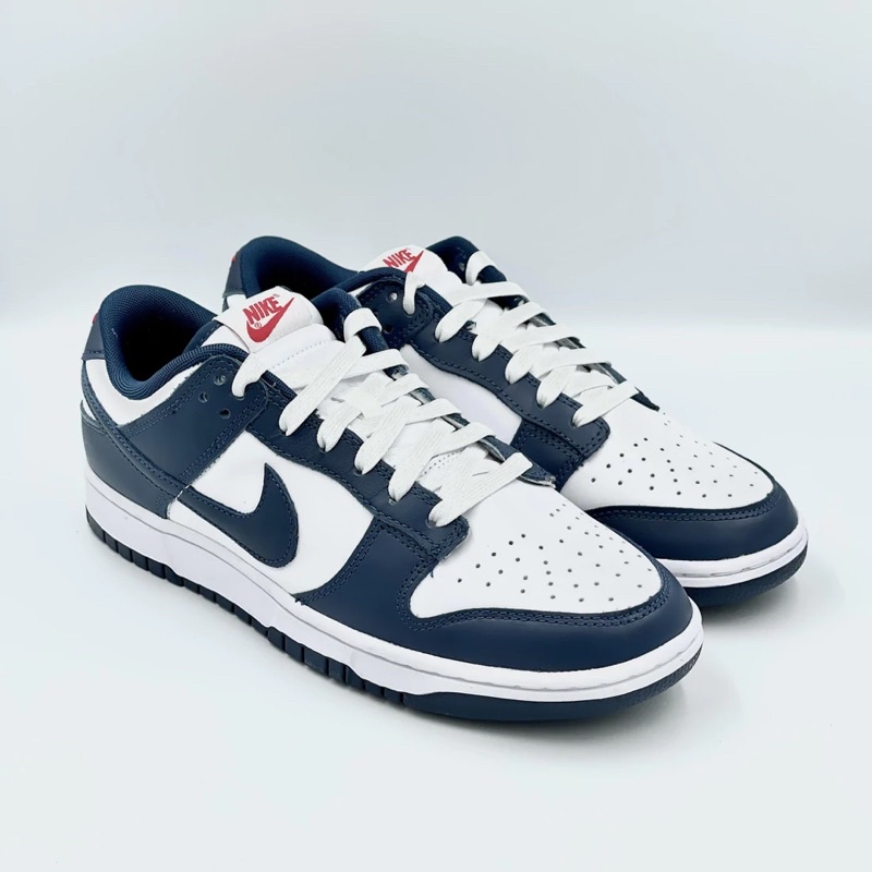 nike-dunk-low-valerian-blue