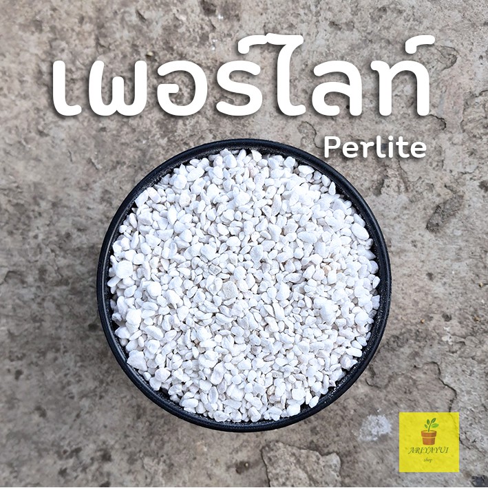 เพอร์ไลท์-perlite-วัสดุปลูก-แบ่งขาย-1-ลิตร