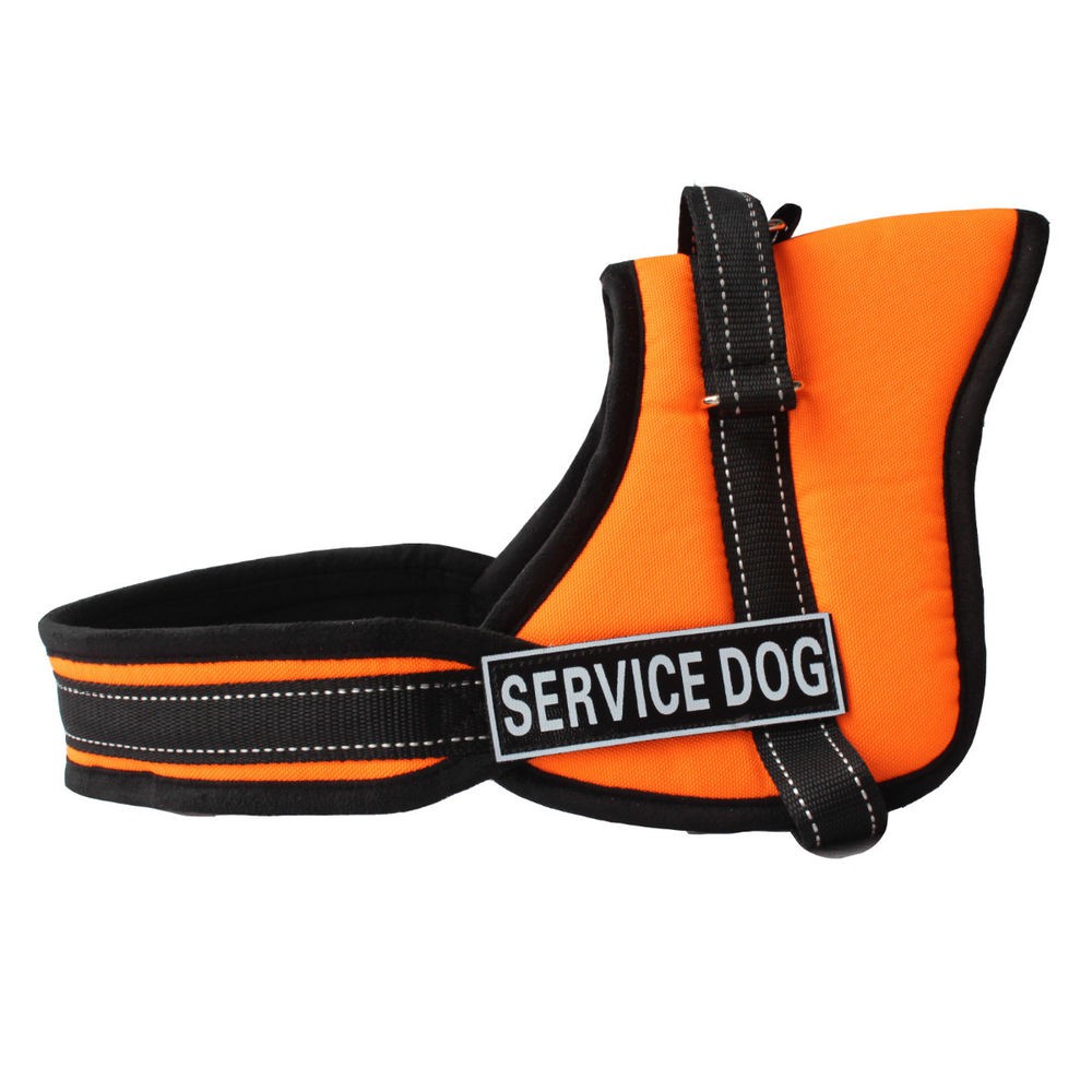 ชุดรัดอกสุนัข-sport-dog-harness-set