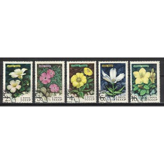 W78-1 แสตมป์สหภาพโซเวียตใช้แล้ว (CTO) ชุด Siberian Flowers ปี 1977 ใช้แล้ว สภาพดี จำนวน 5 ดวง ครบชุด