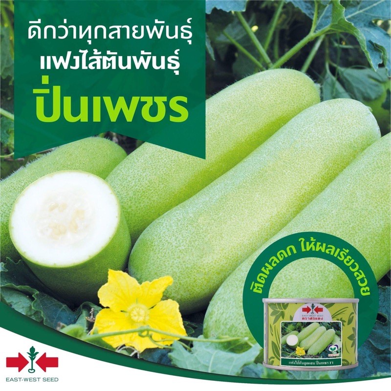 แฟงไส้ตันปิ่นเพชร-1000-เมล็ด-ขายส่ง359-แฟงไส้ตัน