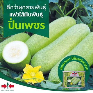 แฟงไส้ตันปิ่นเพชร 1000 เมล็ด ขายส่ง359฿ แฟงไส้ตัน