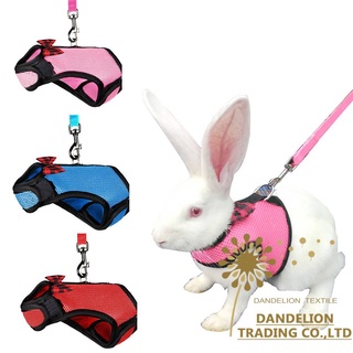 【DANDELION】สายรัดหน้าอก เชือกจูง สําหรับสัตว์เลี้ยง หนูแฮมสเตอร์ กระต่าย