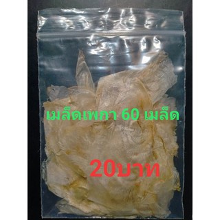 ภาพหน้าปกสินค้าเมล็ดเพกา(ลิ้นฟ้า)60เมล็ด20บาท/เม็ดเพกาถูกๆ/ออแกนิก/#เมล็ดเพกาพื้นบ้าน#เมล็ดพันธุ์#เมล็ดเพกา/เมล็ดเพกา สรรพคุณ ที่เกี่ยวข้อง