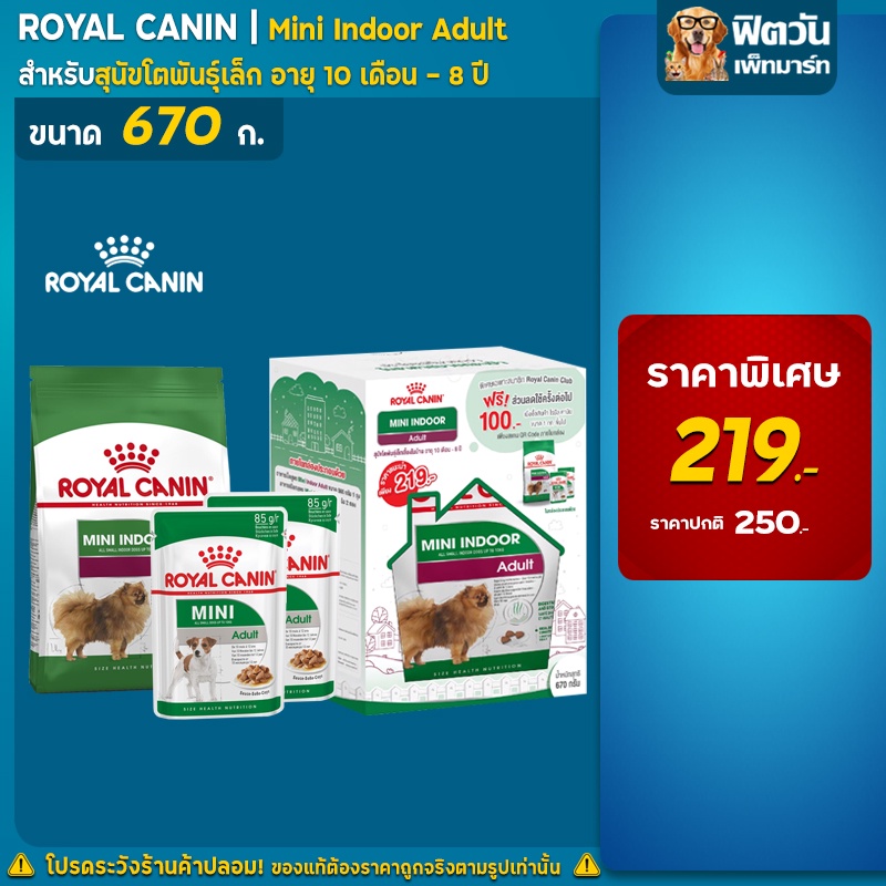 royal-canin-mini-indoor-adult-สุนัขพันธ์เล็ก-gift-set