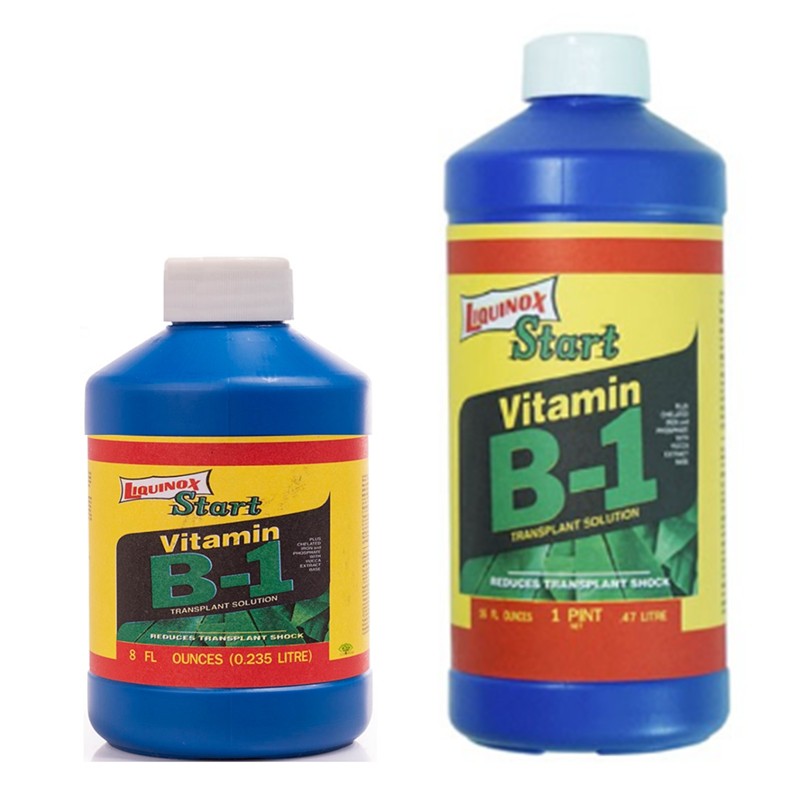 b1-เร่งราก-liquinox-start-usa-นำเข้าจากอเมริกา-ยาเร่งราก-บี1-ฟื้นฟูต้นไม้-เร่งรากไม้ด่าง-เร่งรากแคคตัส