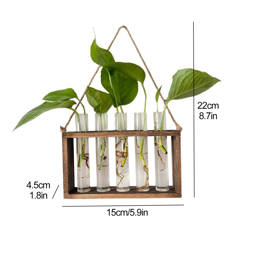 epay-แจกันต้นไม้ไฮโดรโปนิกส์-แบบใส-พร้อมขาตั้งไม้-สําหรับแขวนตกแต่งผนังบ้าน