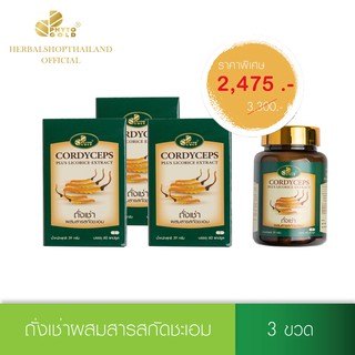 ภาพหน้าปกสินค้า[3 ขวด ราคาพิเศษ] PHYTO GOLD ถั่งเช่าผสมสารสกัดชะเอม  (60 แคปซูล/ขวด) ที่เกี่ยวข้อง