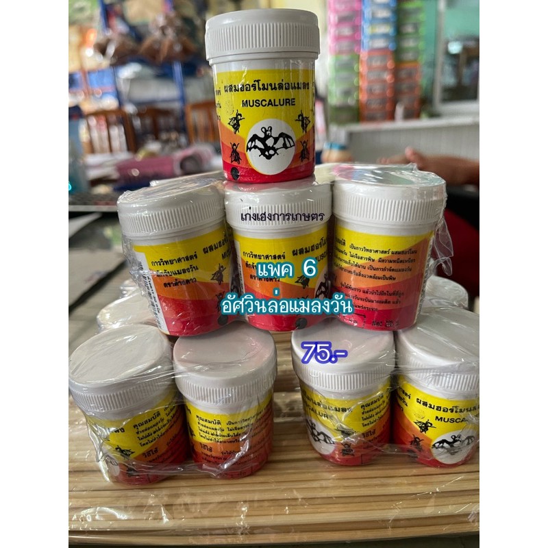 กาวจับแมลงวันค้างคาวแถมไม้-แพค-6ชิ้น-90บาท-พร้อมส่งทุกวัน-ราคาแสนถูก