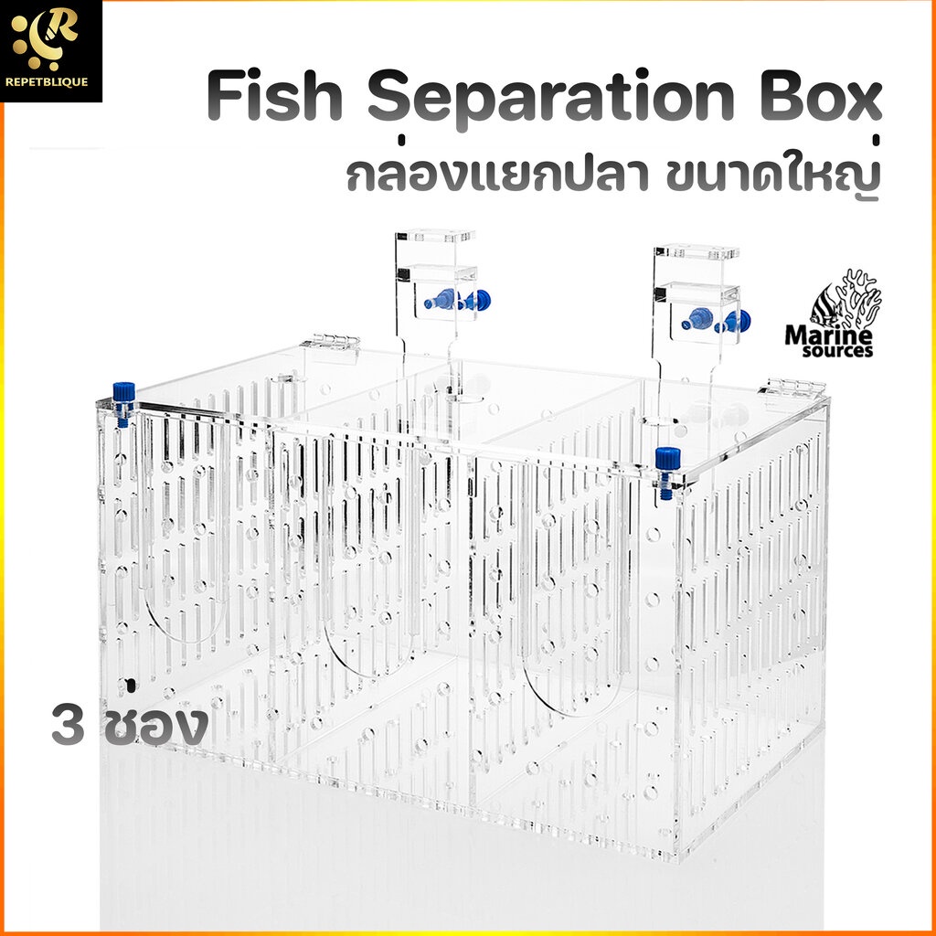 Marine Source กล่องแยกปลา 3 ช่อง Fish Separation Box กล่องพักปลา กล่อง ...