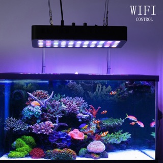 ภาพขนาดย่อของภาพหน้าปกสินค้าไฟเลี้ยงปลาทะเล และปะการัง เลี้ยงต้นไม้ LED Full spectrum 165w ปรับแสงได้ เลือก Channel ได้ จากร้าน pp.aqua บน Shopee ภาพที่ 4