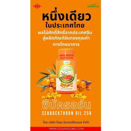 ซีบัคธอร์น-ราชาแห่งผลไม้-ในตระกูลเบอร์รี่