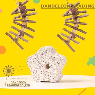 【DANDELION】ของเล่นหินแคลเซียม ขนาดเล็ก สําหรับสัตว์เลี้ยง หนูแฮมสเตอร์ กระรอก กระต่าย