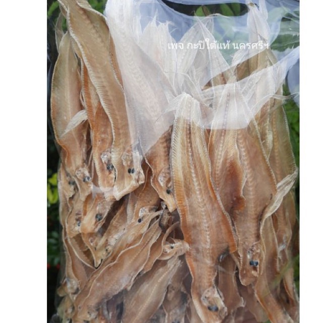 ภาพหน้าปกสินค้าปลาลิ้นหมาแห้ง ปลายอดม่วงแห้ง (ฮาลาล) สด ใหม่ เค็มน้อย จากนครศรีฯ จากร้าน kapihomemade บน Shopee