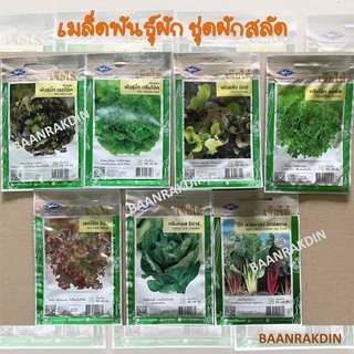 เมล็ดผัก เมล็ดพันธุ์ผัก เจียไต๋(ซอง) ชุดผักสลัด ราคาถูก พร้อมส่ง